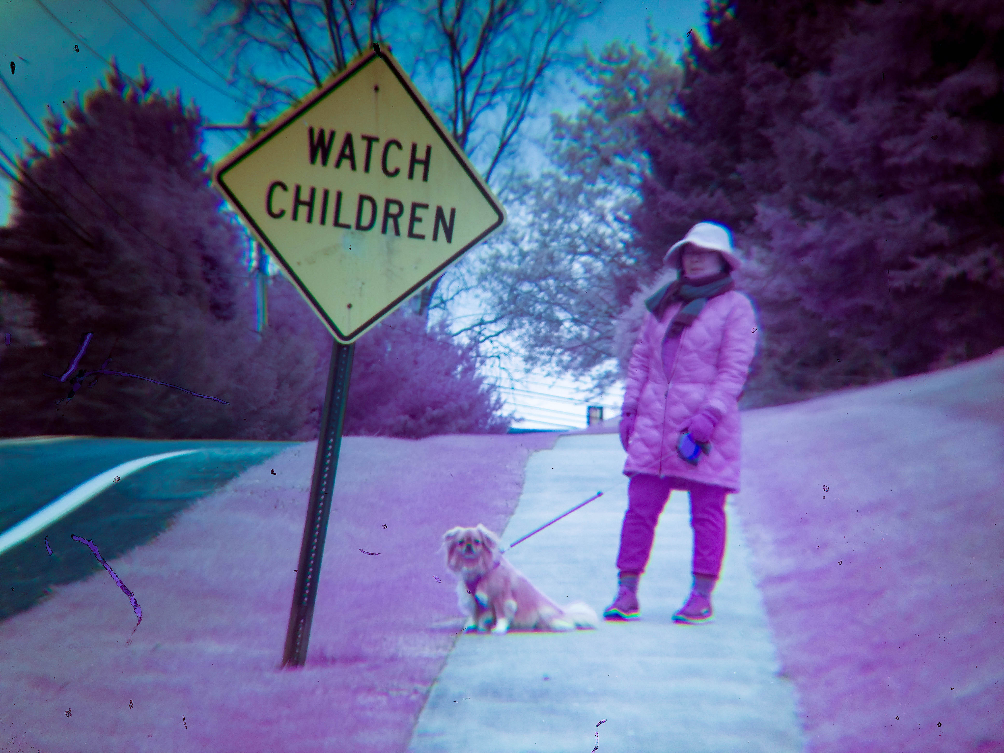 IR sample: my mom and François
