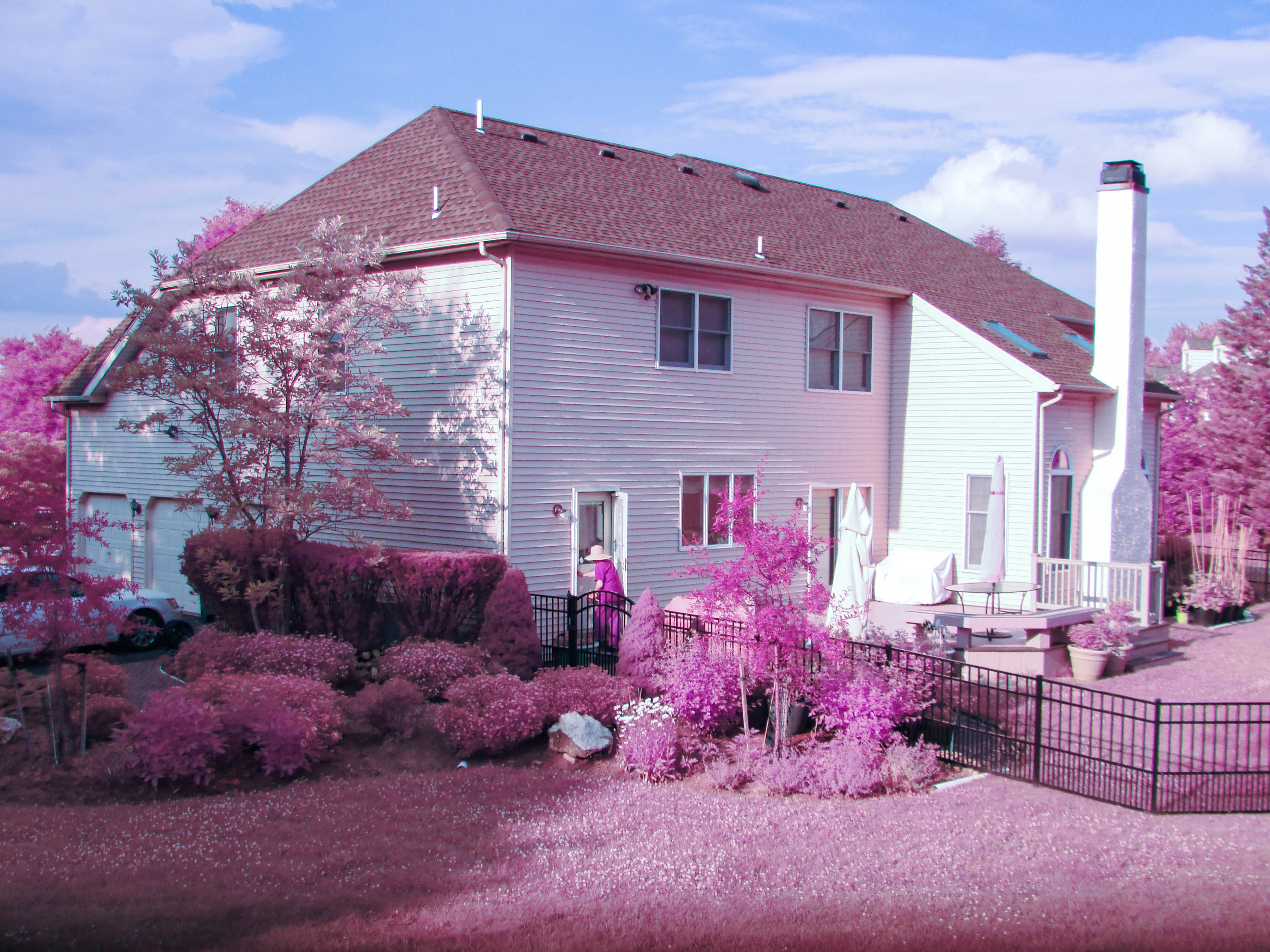 Sample infrared photo from DSC-H20