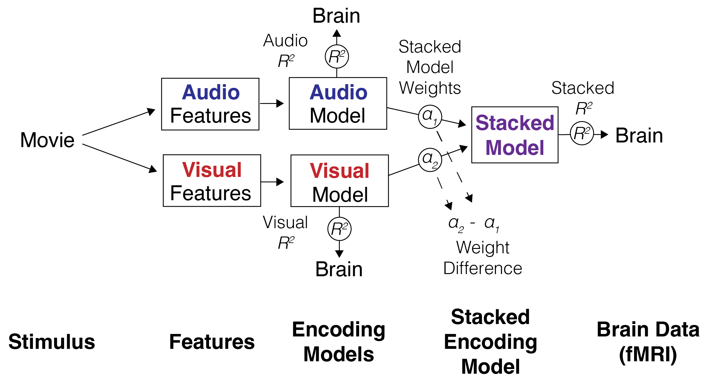Schematic of a stacked encoding model where movie stimuli are transformed into audio and visual features, separate encoding models predict brain activity, and a stacked model combines them to estimate feature weights.